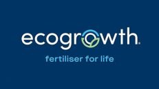 Ecogrowth